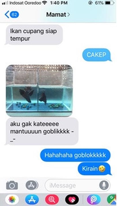 chat lucu dikira pantun © berbagai sumber