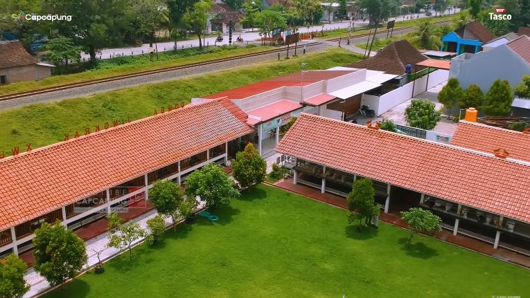 peternakan domba mewah © YouTube