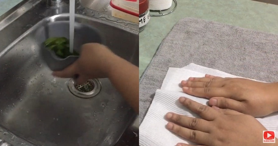 Cara mengeringkan daun jeruk agar tetap hijau, tanpa sinar matahari dan oven