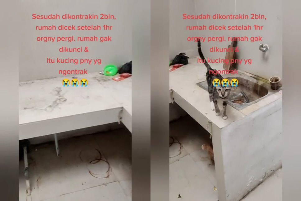 cerita rumah kontrak © TikTok