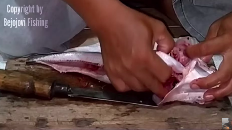 5 Cara bersihkan ikan gabus agar lendir dan bau amisnya hilang