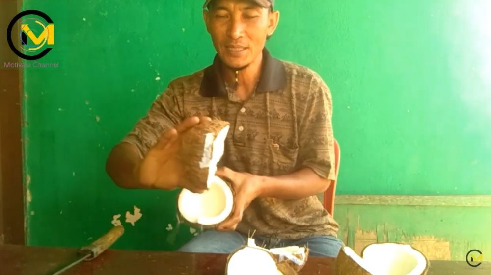 Wajib tahu, ini trik pilih kelapa tua yang hasilkan banyak santan