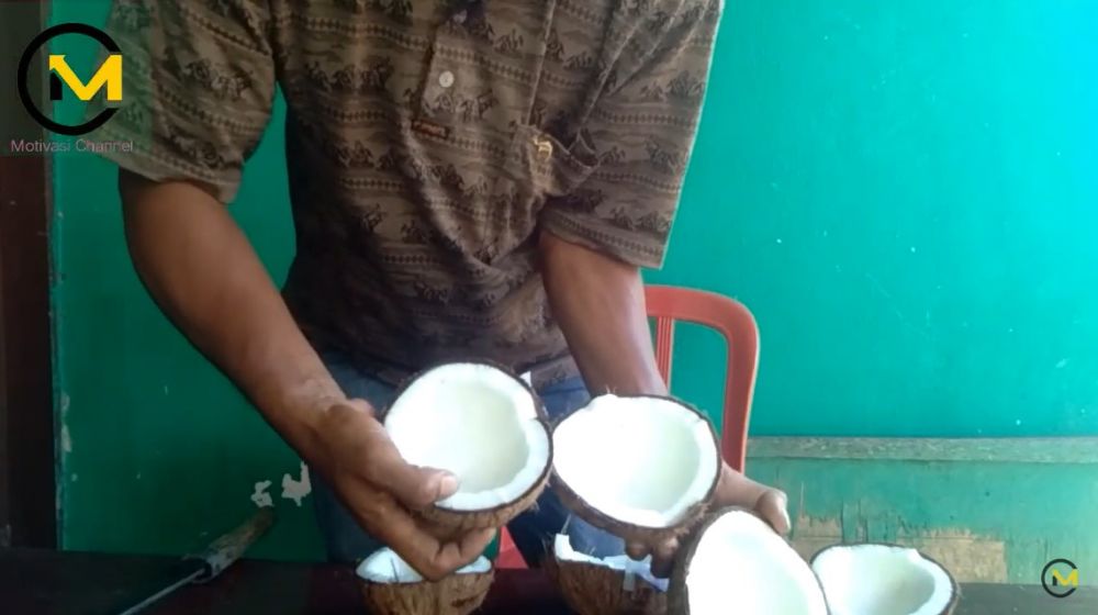 Wajib tahu, ini trik pilih kelapa tua yang hasilkan banyak santan