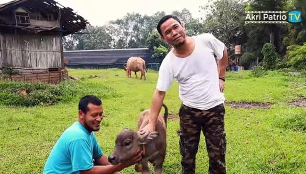 Potret terbaru Akri Berbagai sumber