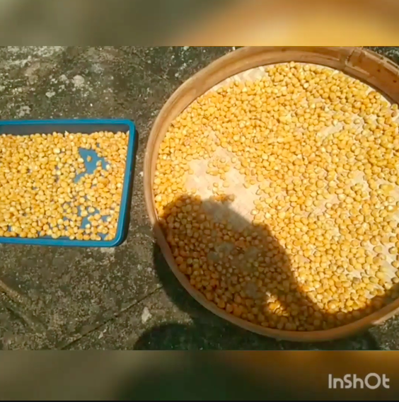 Trik bikin marning jagung yang enak, renyah dan tidak keras saat dimakan