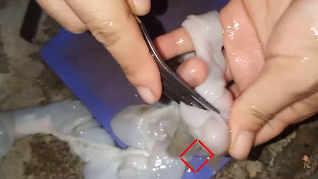 Bau amis auto hilang sempurna, begini cara mencuci usus sapi sebelum diolah