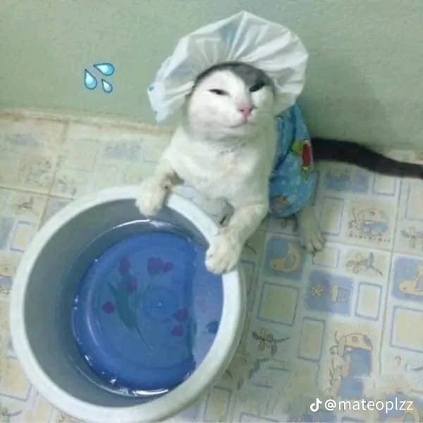 aksi lucu hewan diajak kerja sama © berbagai sumber