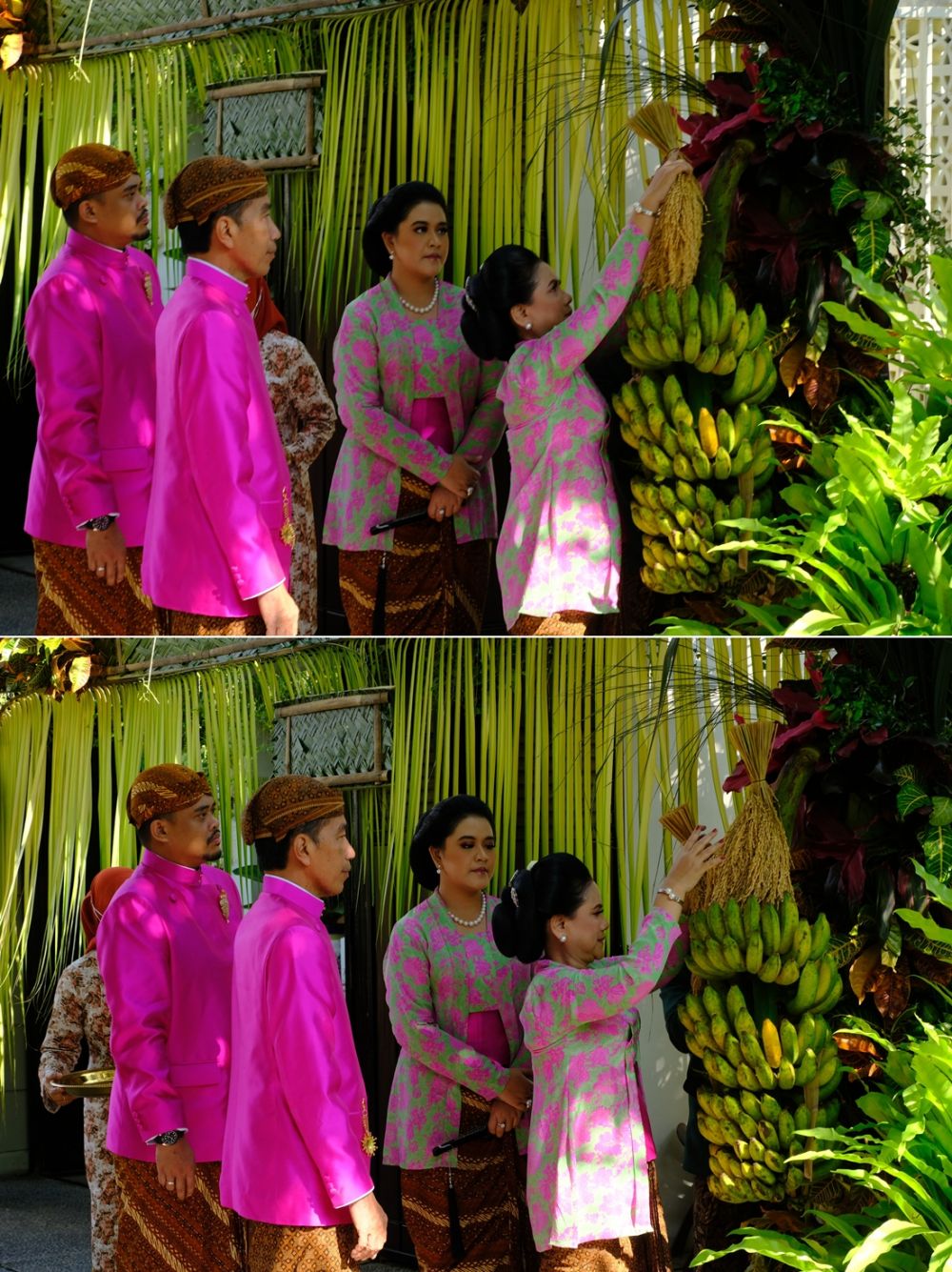 jokowi pasang bleketepe di siraman © berbagai sumber