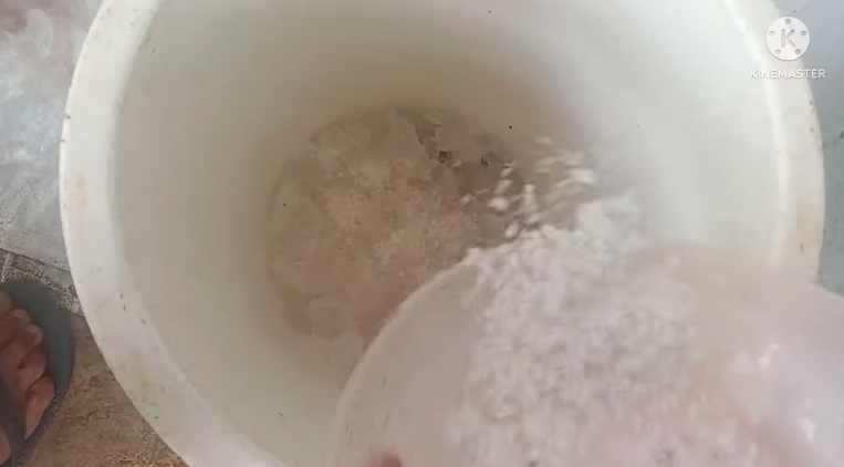 Tanpa kulkas, ini cara mudah agar es krim tidak mencair selama 12 jam