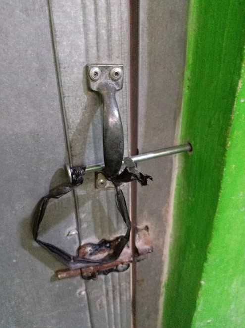 Manfaatkan paku Berbagai sumber