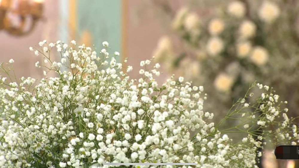 dekorasi pernikahan kaesang dan erina gudono © berbagai sumber dekorasi pernikahan kaesang dan erina gudono © berbagai sumber