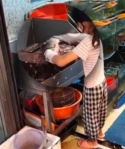 Cuma butuh beberapa menit, aksi bocah bersihkan dan potong ikan ini bikin takjub