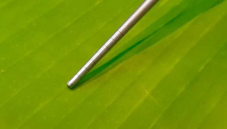 Jangan keliru, ini ciri-ciri daun pisang yang cocok untuk bungkus makanan