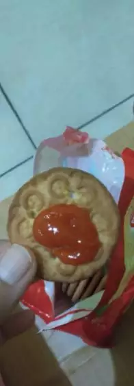 makanan nyeleneh biskuit © berbagai sumber makanan nyeleneh biskuit © berbagai sumber