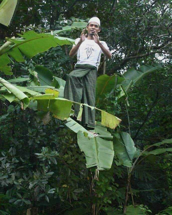 pamer keseimbangan © berbagai sumber pamer keseimbangan © berbagai sumber