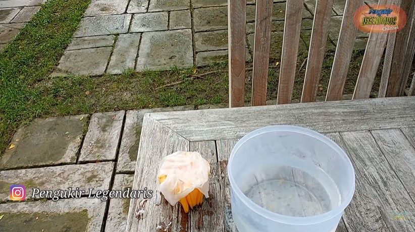 Trik menyimpan garnish untuk tumpeng, tetap segar dan cantik hingga 1 minggu