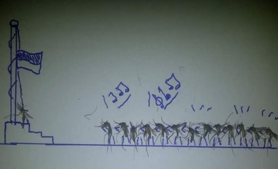 Koleksi nyamuk Berbagai sumber