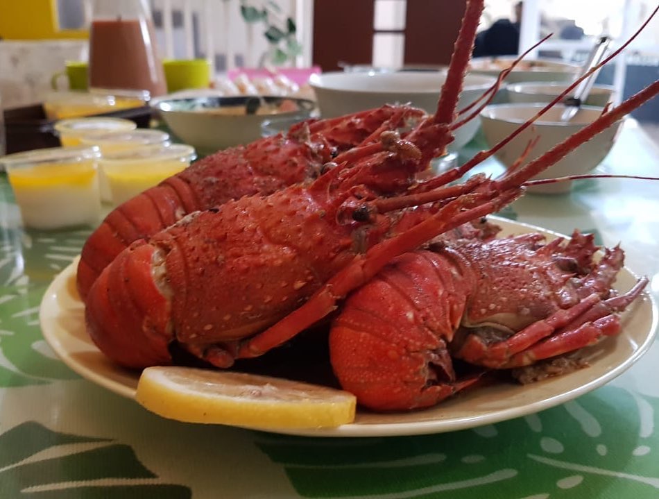 10 Kreasi lauk buatan Anne Kurniasih istri Teddy Syach, enak dan serba simpel