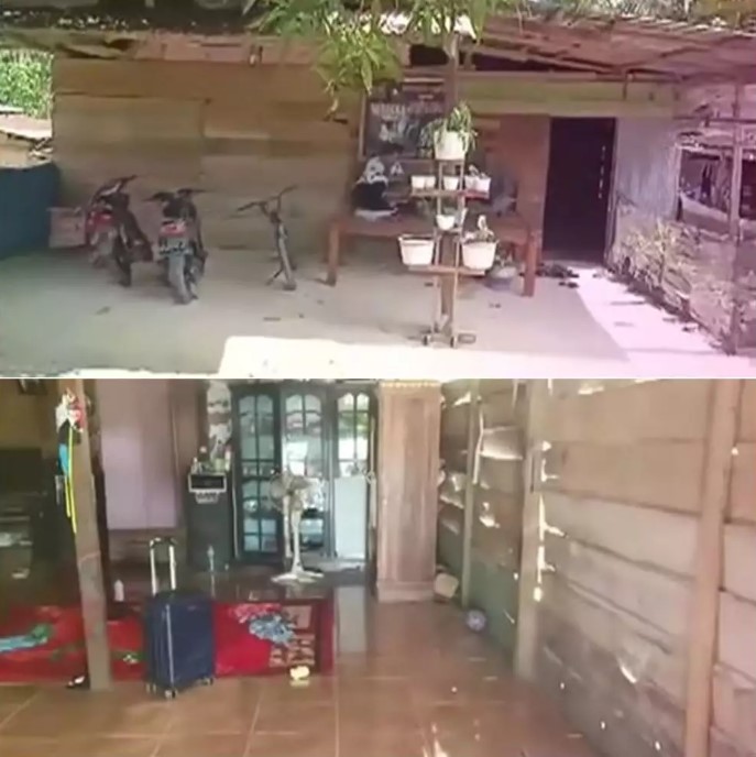 rumah dinding kayu jebolan dangdut © berbagai sumber