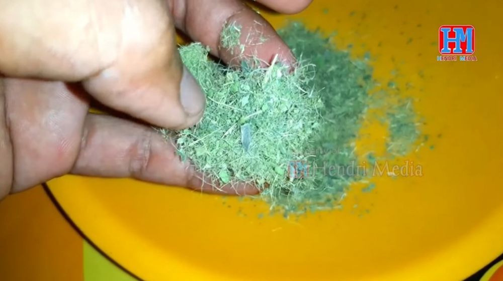 Jarang diketahui, ini trik agar daun jeruk bubuk tidak terlalu pahit