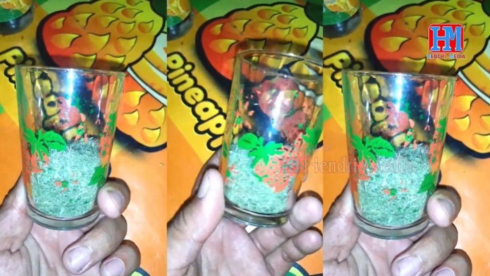 Jarang diketahui, ini trik agar daun jeruk bubuk tidak terlalu pahit