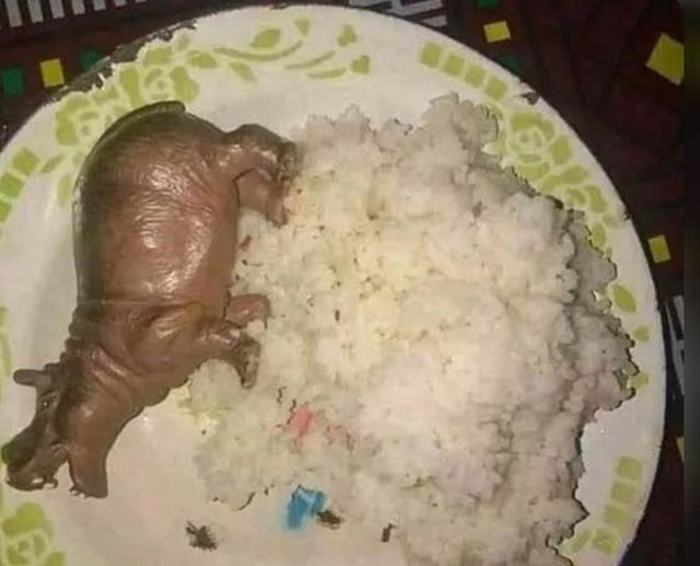 benda di atas piring © berbagai sumber benda di atas piring © berbagai sumber