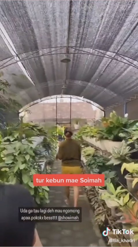 kebun soimah sangat luas © berbagai sumber