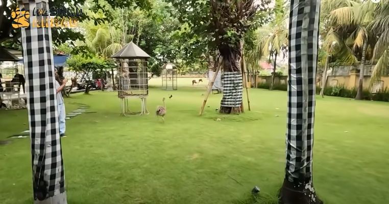 kebun villa bambang soesatyo © berbagai sumber