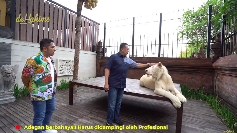 kebun villa bambang soesatyo © berbagai sumber