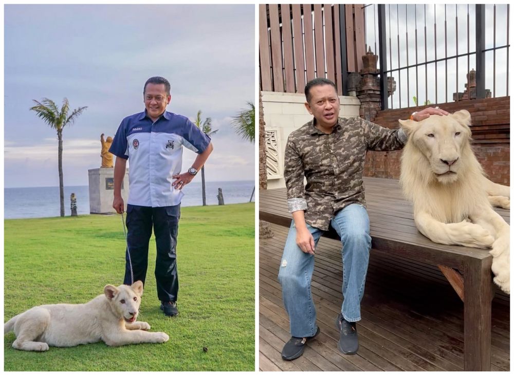 kebun villa bambang soesatyo © berbagai sumber