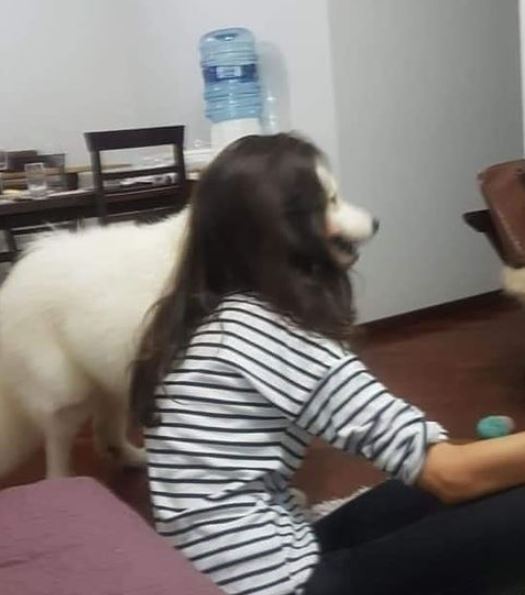 orang difoto dari belakang saling melengkapi © berbagai sumber