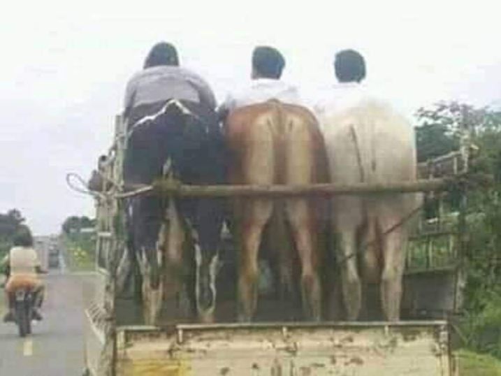 orang difoto dari belakang saling melengkapi © berbagai sumber