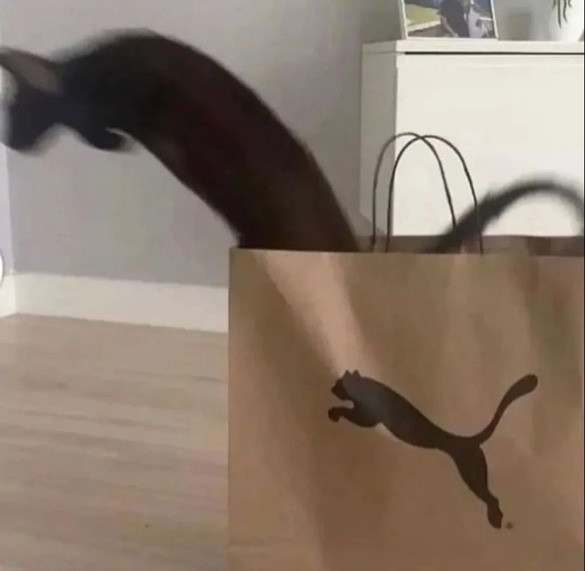 foto nggak sengaja tapi pas banget © berbagai sumber