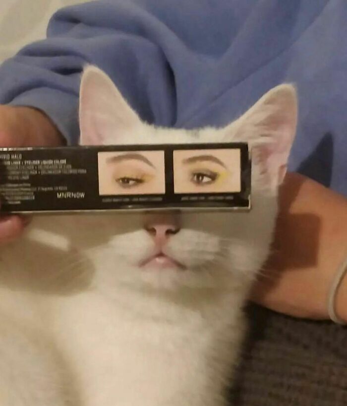 foto nggak sengaja tapi pas banget © berbagai sumber