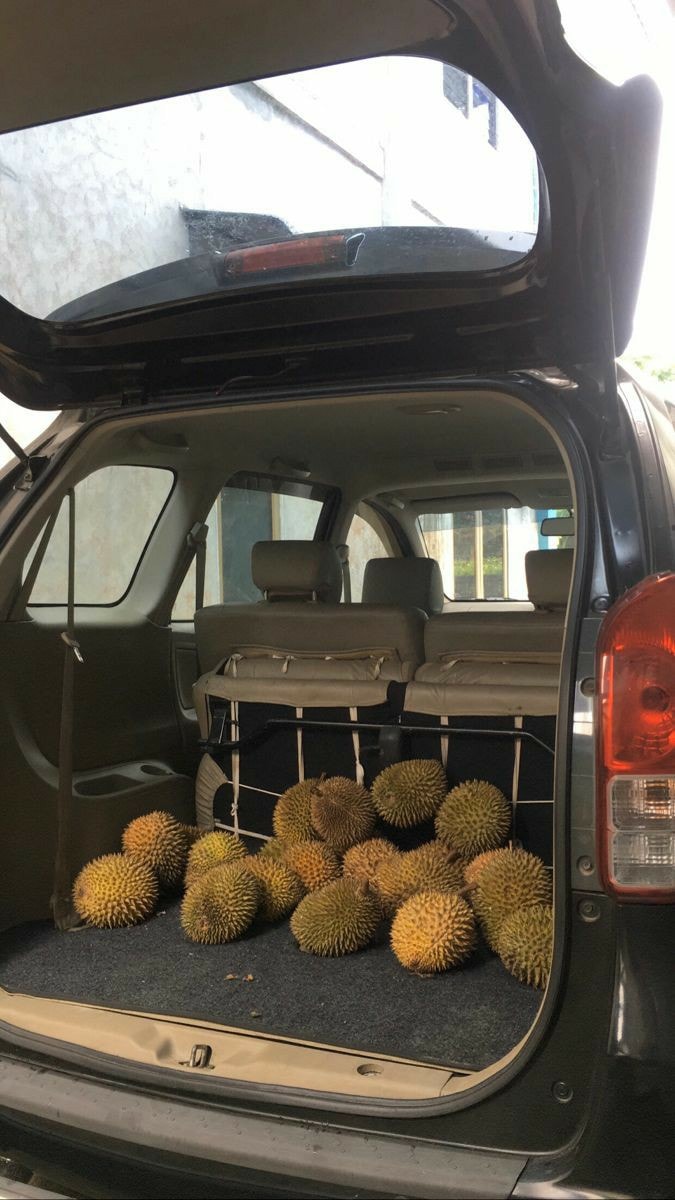 mobil asal angkut barang © berbagai sumber mobil asal angkut barang © berbagai sumber