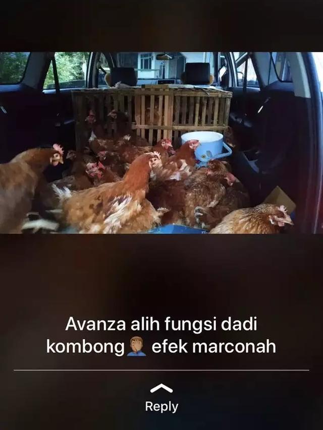 mobil asal angkut barang © berbagai sumber mobil asal angkut barang © berbagai sumber