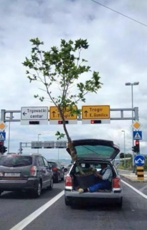 mobil asal angkut barang © berbagai sumber