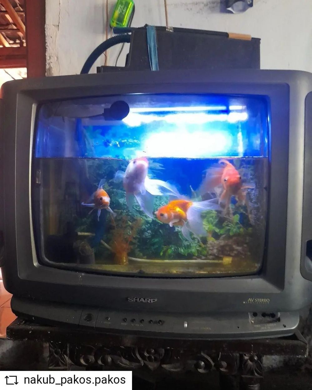 bikin rumah estetik tapi nggak banyak duit © berbagai sumber