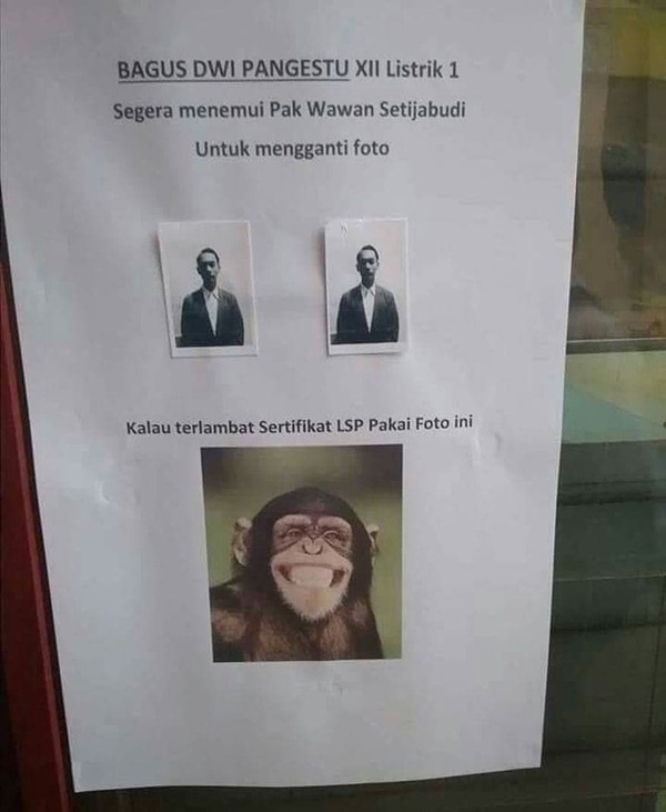 peringatan bernada sindiran © berbagai sumber