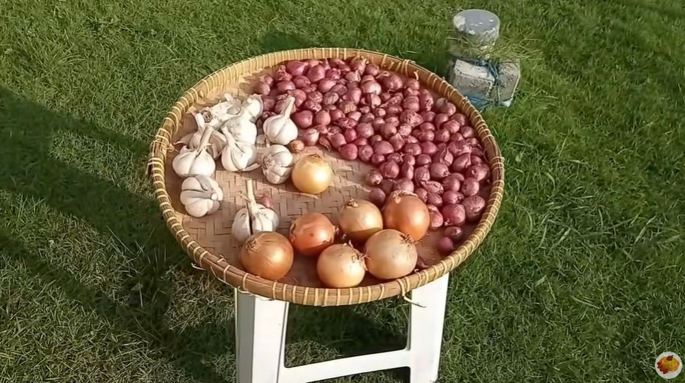 Cara sederhana menyimpan bawang agar tahan sampai berbulan-bulan
