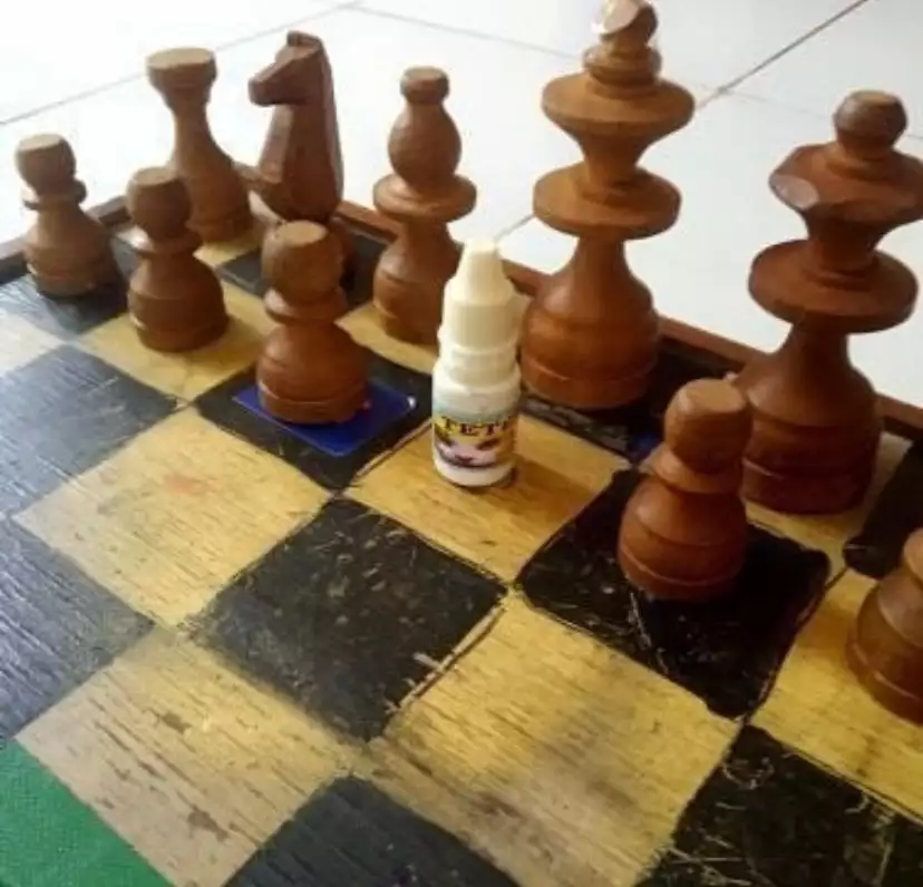 bidak catur nyeleneh © berbagai sumber