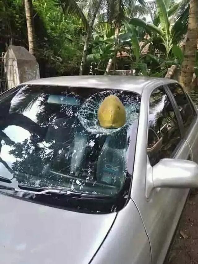 kaca mobil ketiban benda apes banget © berbagai sumber