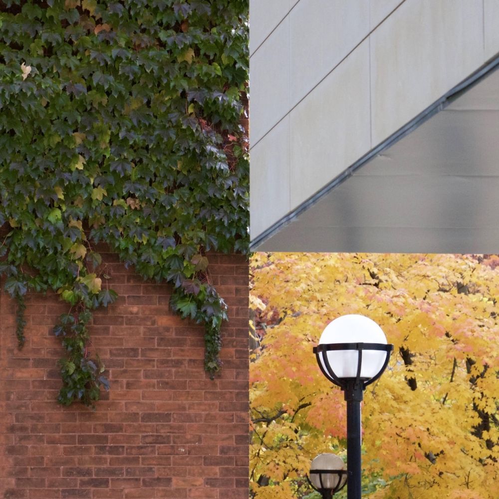 potret absurd dilihat dua kali © berbagai sumber