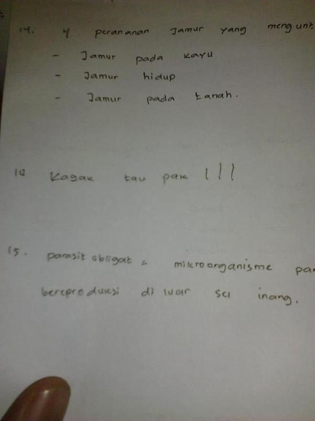 jawaban ujian tapi udah pasrah banget © berbagai sumber