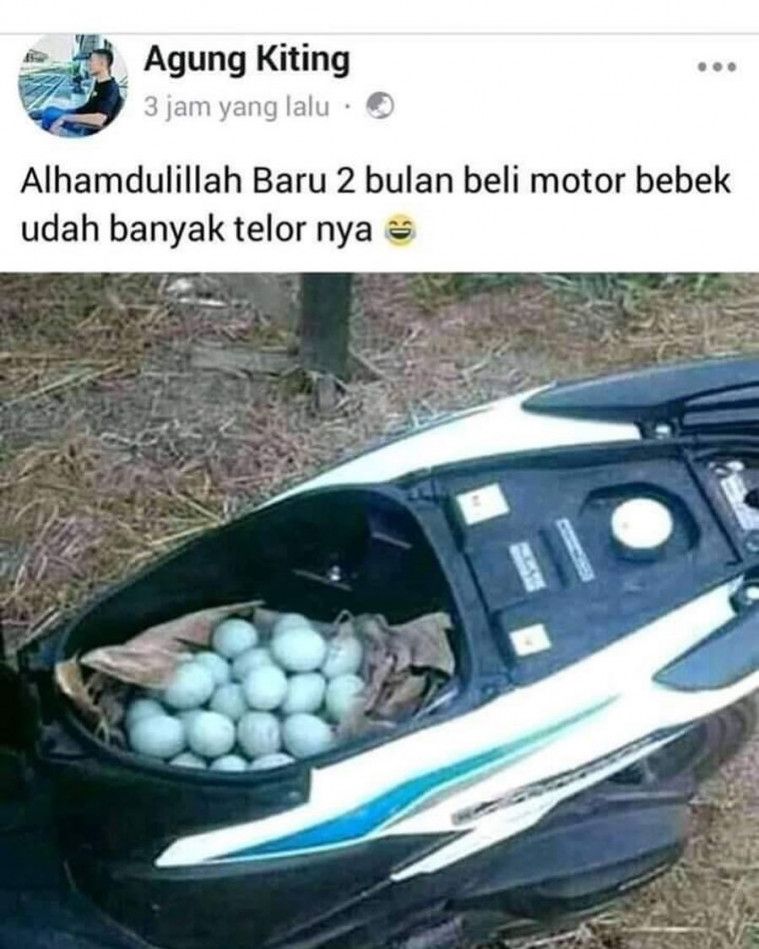 status gambar bapak bapak © berbagai sumber