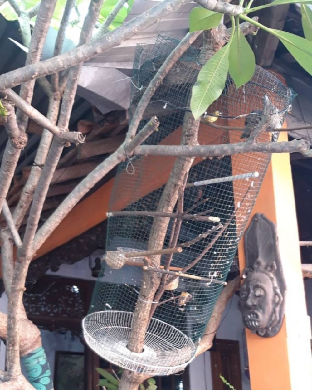 alih fungsikan tutup kipas bekas © 2022 Instagram 