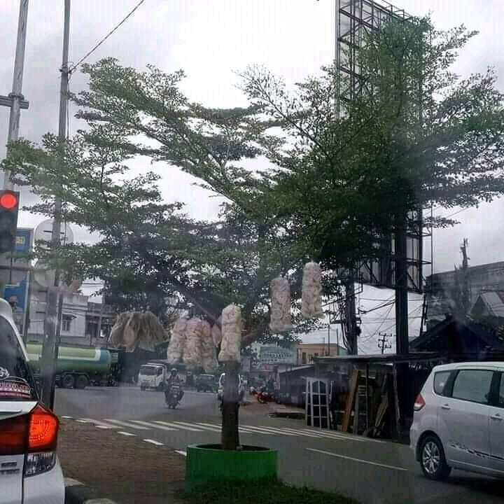  potret lokasi jualan nggak sesuai © berbagai sumber