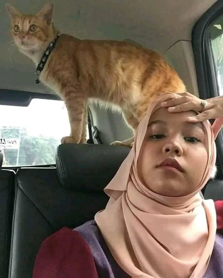 selfie tapi nggak lihat belakangnya © berbagai sumber selfie tapi nggak lihat belakangnya © berbagai sumber