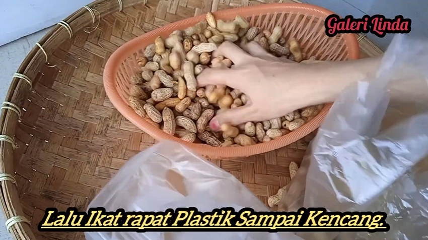 Tetap segar berbulan-bulan seperti baru dipanen, begini trik menyimpan kacang tanah