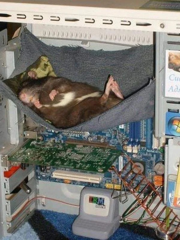 NGAKAK - 11 Aksi kocak orang manfaatkan barang elektronik bekas ini kreatifnya nggak ketolong © 2022 brilio.net